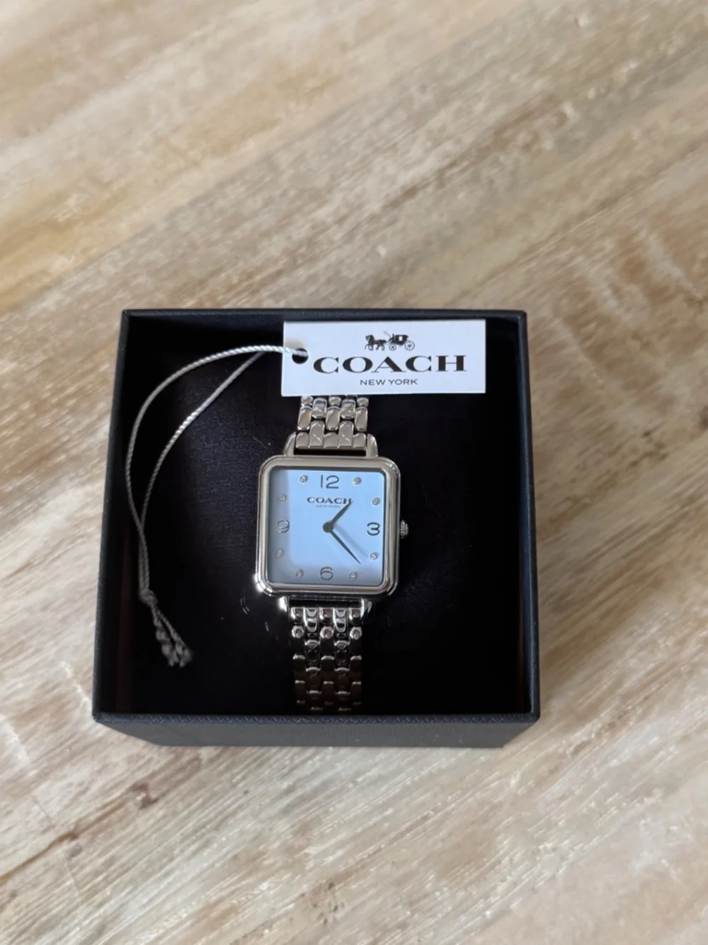 Coach Cass Watch Womens Light Blue & Silver SS 28mm CAZ19